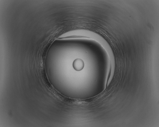 X0000116550617200912241556