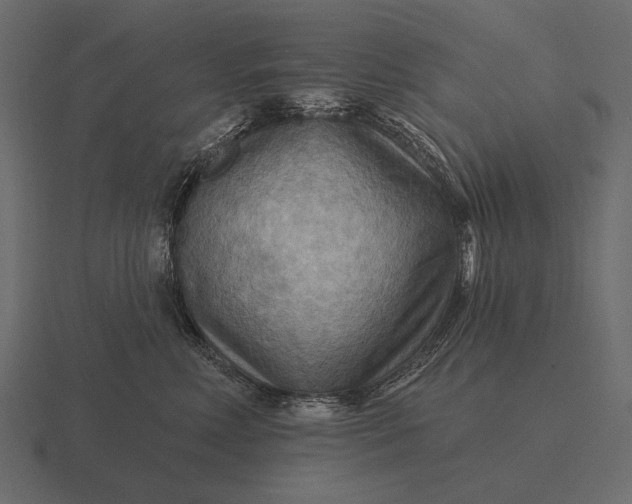 X0000116550618200912241556