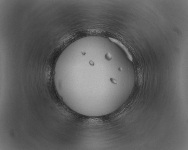 X0000116550619200912241556