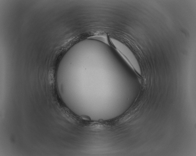 X0000116550620200912241556