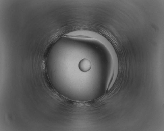 X0000116550621200912241556