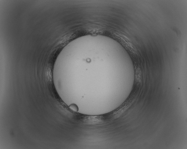 X0000116550622200912241556