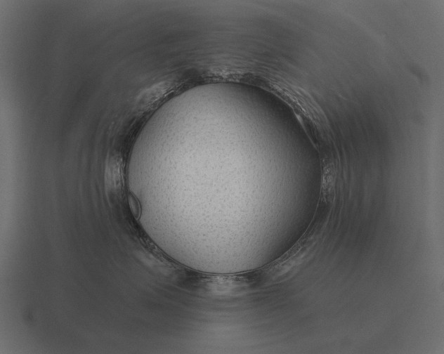 X0000116550623200912241556