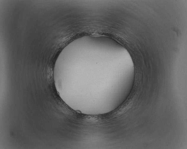 X0000116550624200912241556