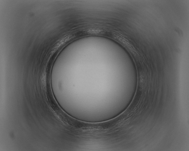 X0000116550626200912241556