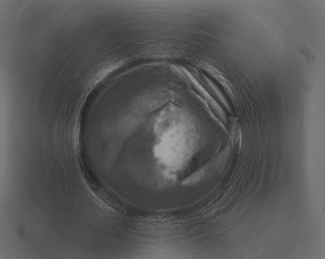 X0000116550627200912241556