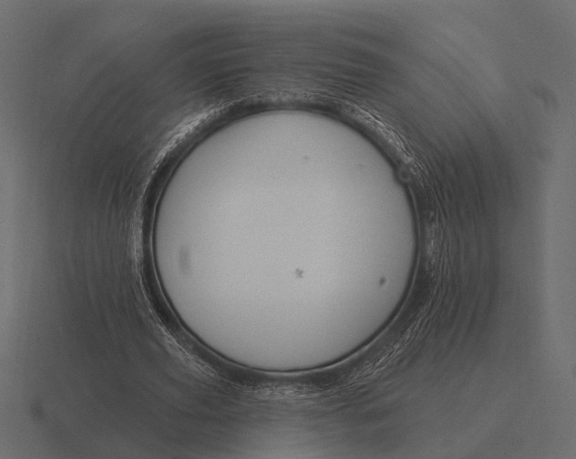 X0000116550629200912241556