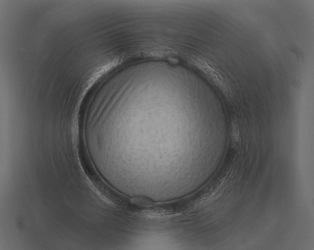 X0000116550630200912241556