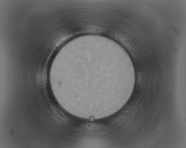 X0000116550632200912241556