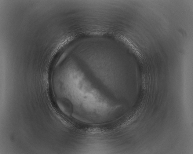 X0000116550634200912241556