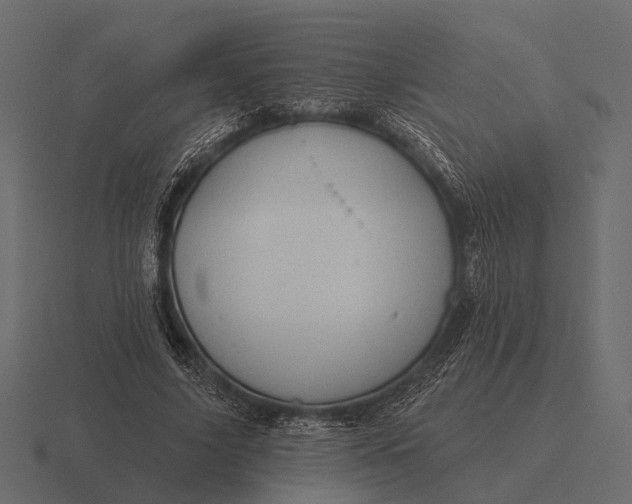 X0000116550635200912241556