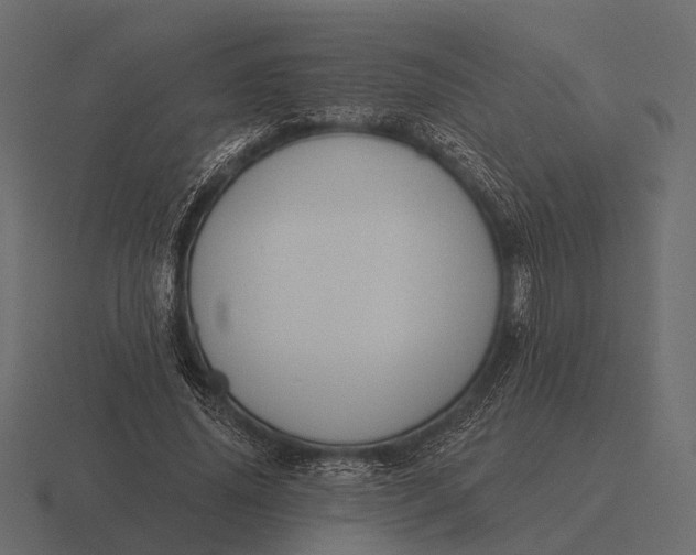 X0000116550636200912241556