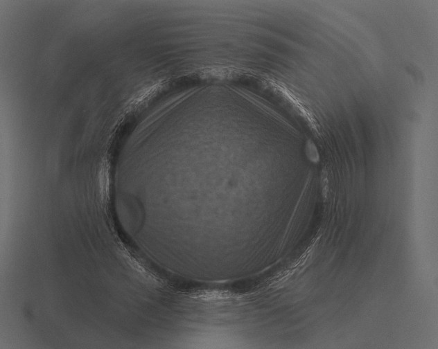 X0000116550637200912241556