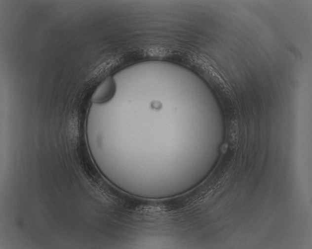 X0000116550639200912241556