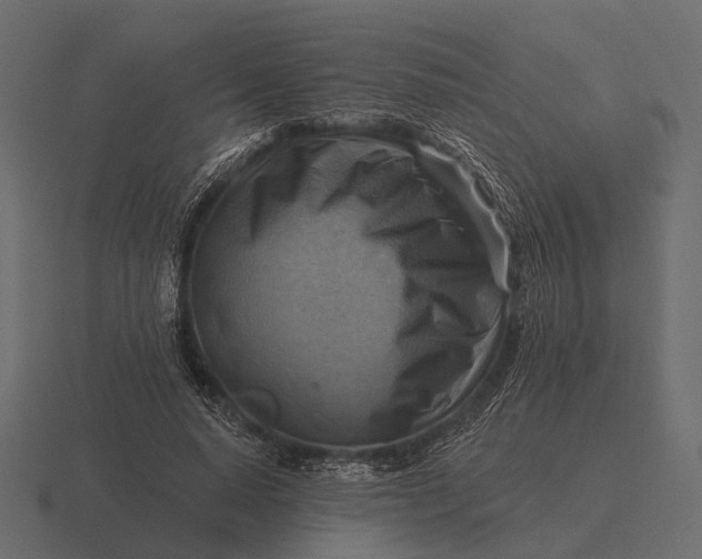 X0000116550640200912241556