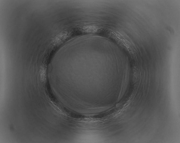 X0000116550641200912241556