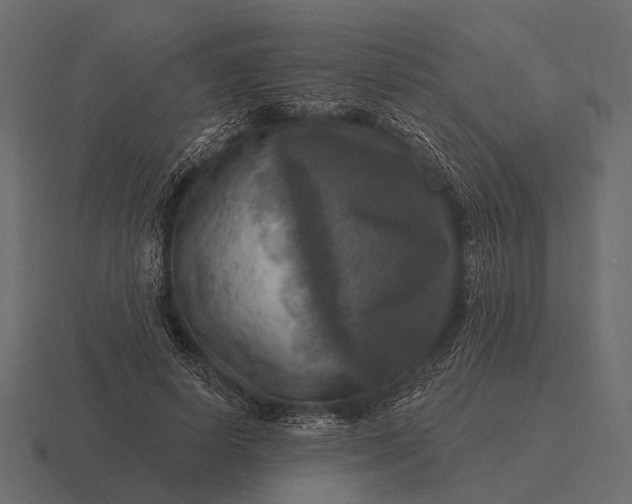 X0000116550642200912241556