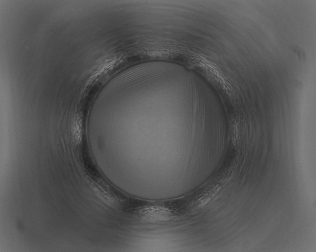 X0000116550644200912241556