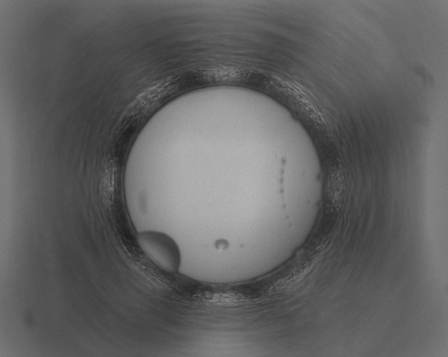 X0000116550645200912241556