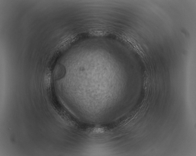 X0000116550647200912241556