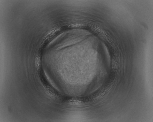 X0000116550648200912241556