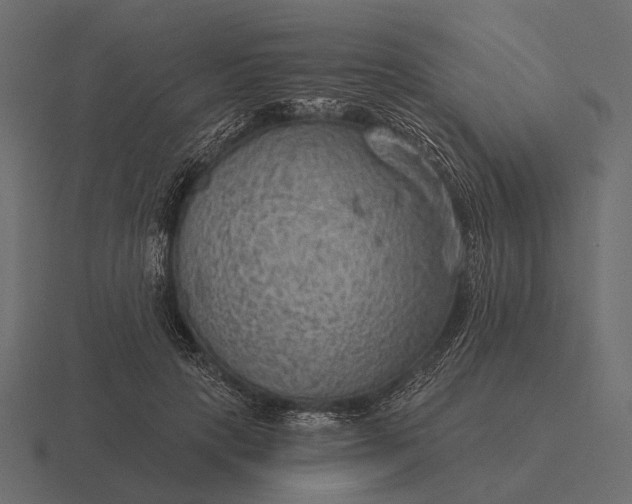 X0000116550649200912241556