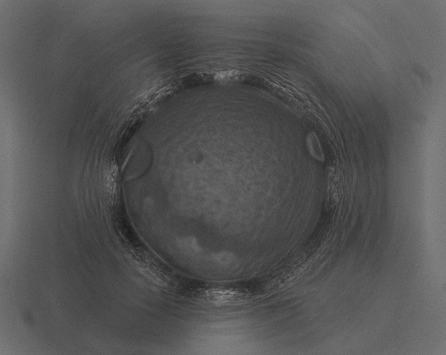 X0000116550650200912241556