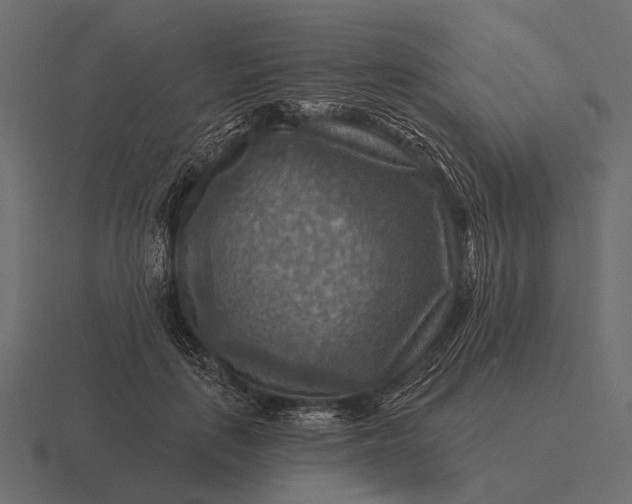 X0000116550651200912241556