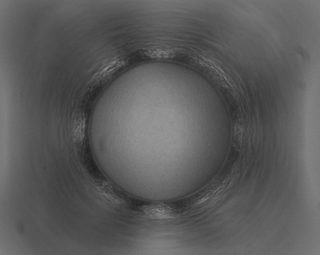 X0000116550652200912241556