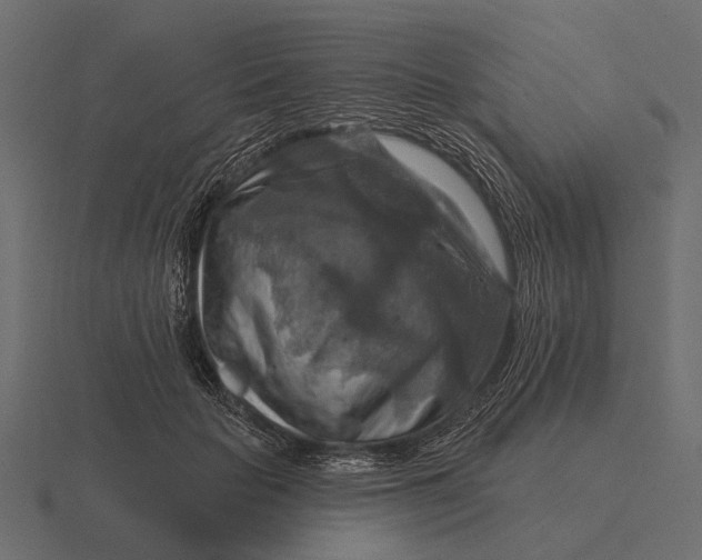 X0000116550653200912241556