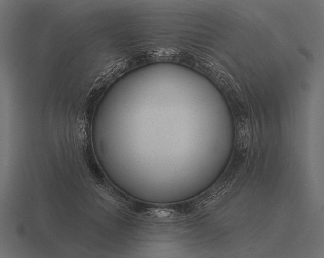 X0000116550654200912241556