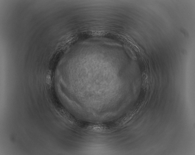 X0000116550655200912241556