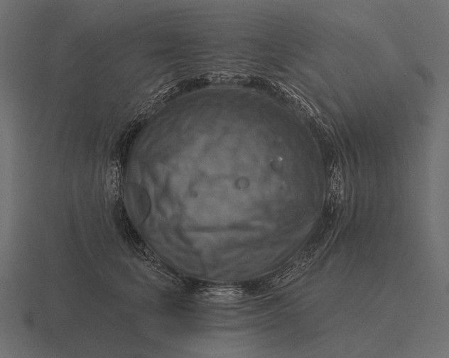 X0000116550659200912241556