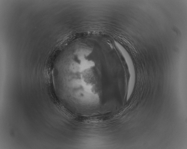 X0000116550661200912241556