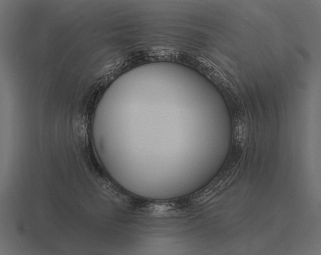 X0000116550662200912241556