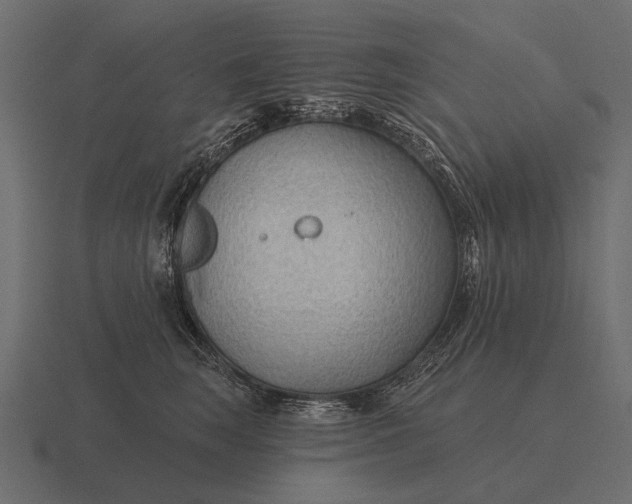 X0000116550663200912241556