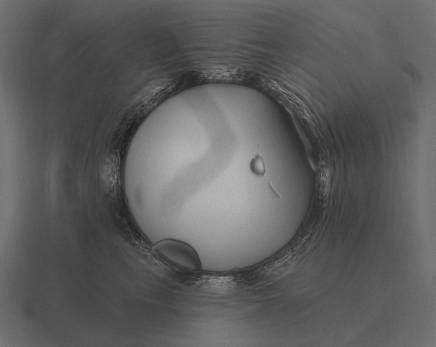 X0000116550665200912241556