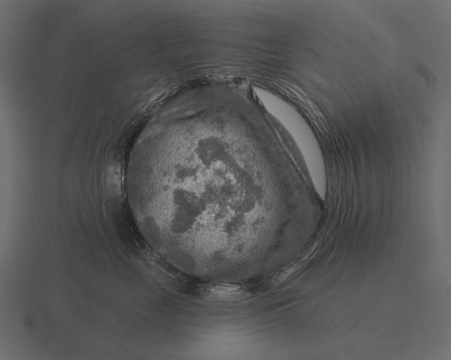 X0000116550669200912241556