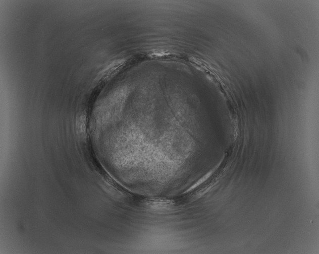 X0000116550670200912241556