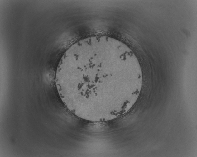 X0000116550672200912241556