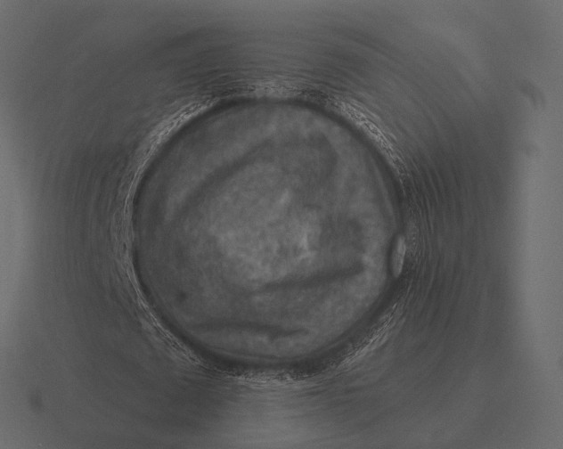 X0000116550673200912241556