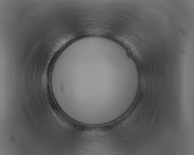 X0000116550674200912241556