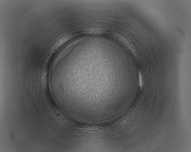 X0000116550675200912241556