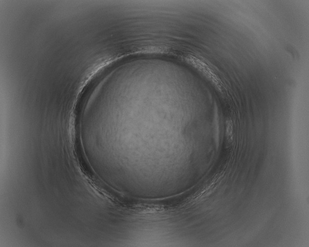 X0000116550676200912241556