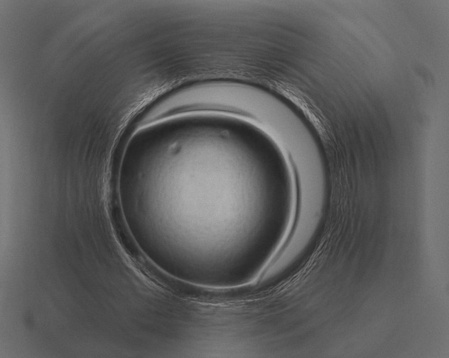 X0000116550677200912241556