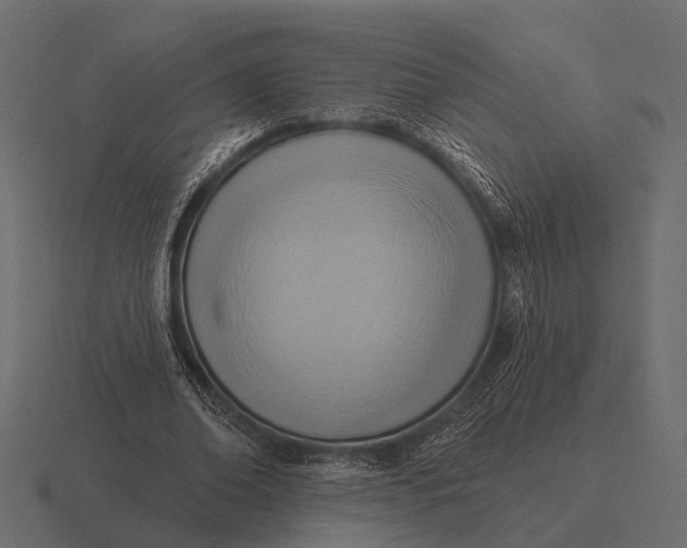 X0000116550678200912241556