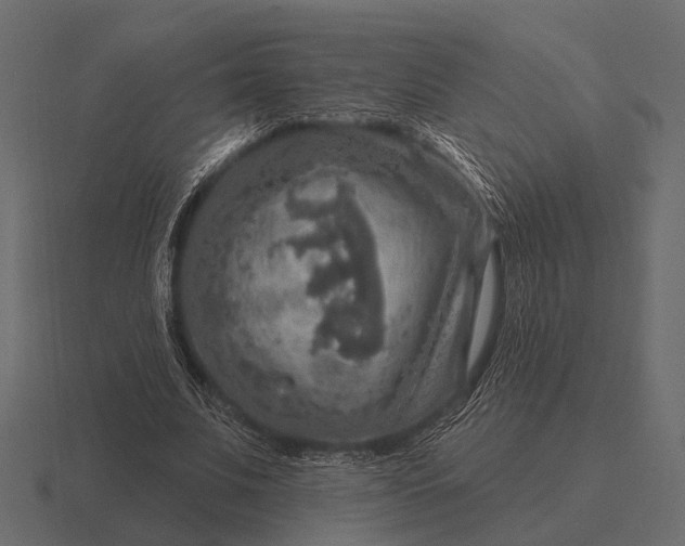 X0000116550679200912241556