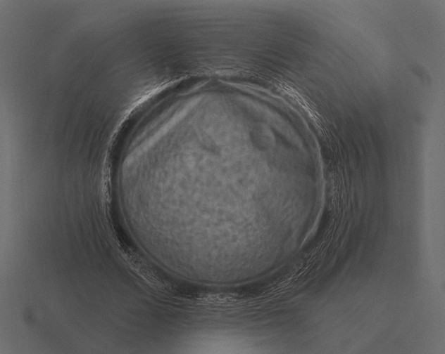 X0000116550680200912241556