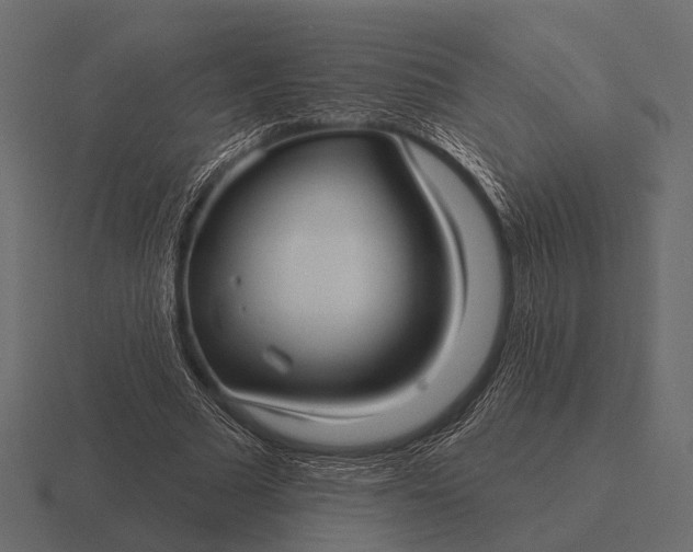 X0000116550681200912241556