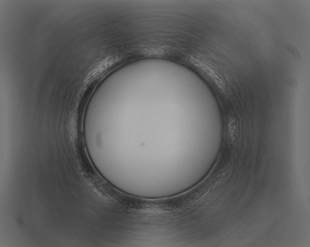 X0000116550682200912241556